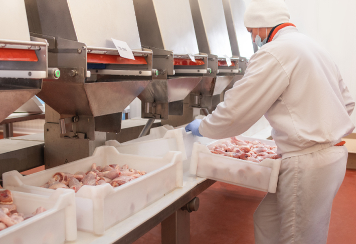 Endüstriyel Et İşleme Ustalık Eğitimi