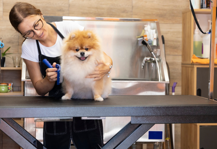 Evcil Hayvan Kuaförlüğü Eğitimi (pet kuaförlüğü)