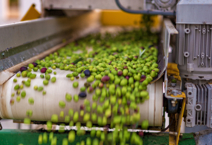 Zeytin İşleme Ustalık Eğitimi